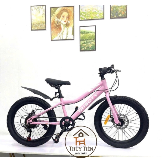 Xe đạp thể thao hàng nhập