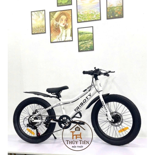 Xe đạp thể thao hàng nhập