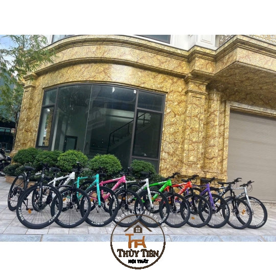 Xe đạp thể thao hàng nhập