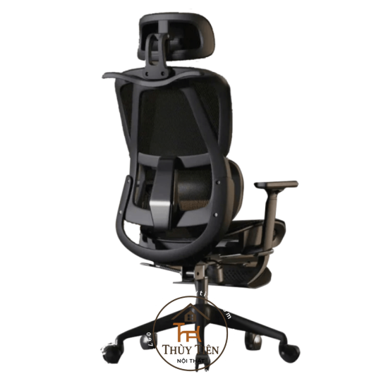 Ghế công thái học CTH919