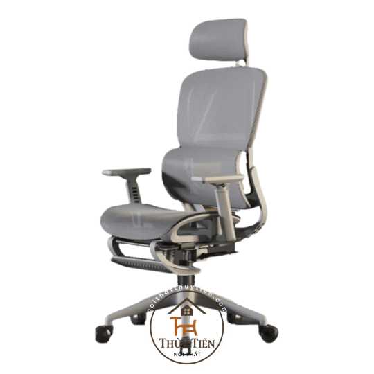 Ghế công thái học CTH919